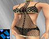 ~J~ GnB Fishnet GA
