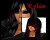 Kylie- BLK.BURGENDY