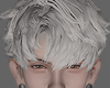 Blonde Roi