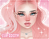Laverne | Blossom
