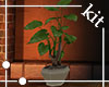 [Kit]Plant 2