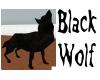 (N) Black Wolf