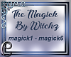 The Magick By Witchz