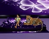 purple couch/tiger