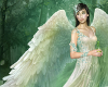 Angel fantasy1