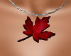 ~N~Canadian necklace