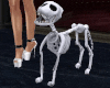 Skeleton Dog Pet