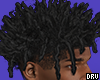 [DRV] Rex FreeForm Locs