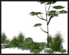Landscaping ~