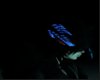 BlueSpiritHorns