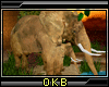 [OKB]Elephant