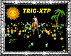 Tropical (XTP)