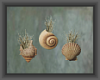 Seashells wall art