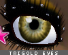 [V4NY] TriGold Eyes
