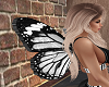 butterfly wings