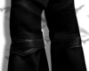 Midnight Wanderer Pants