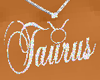K Taurus Chain w/Symbol
