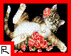 charming rose cat