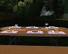 outdoor food table