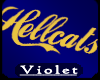(V) Hellcat's banner