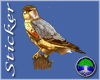 ~CJD~Merlin Bird of Prey
