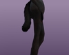 Black Cat tail
