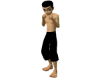 Boxer Avatar