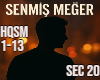 Senmis Meger