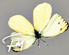 Pastel butterfly |FM350
