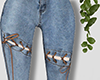 jeans RLS
