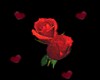 KQ Love Roses Sticker