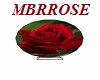 rose display plate V3