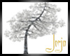 [JSA] Winter Sukura Tree