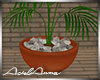 Garden Potted Palm