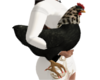 Fashion Chickens DRVB pe