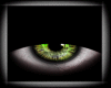 Eyes Dark Green [ M/F ]