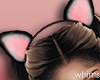 BooBoo Kitty Ears