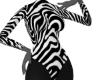Zebra couture body