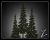 Z | Pinetree grp