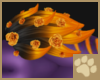 ~AM~ Frica Hip Fur v1