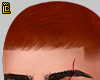 r. Haircut Ginger