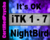 NightBirde - Its Ok