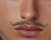 Tache Barber