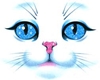 Cat blue