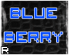 [000] Blue-Berry Skin