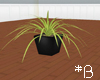 ~RS~  Plant Cloe