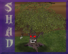 {SP}Animated Evil Tree