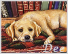 Dogs Books Art IX