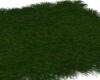 Canadian Grass Rug