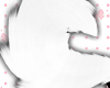 NNN.White Husky Tail
